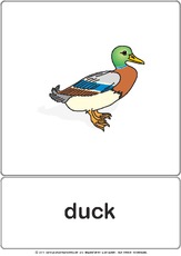 Bildkarte - duck.pdf